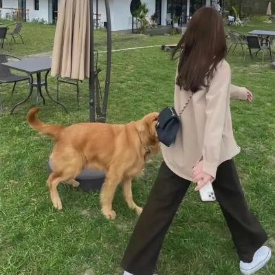 我是传奇短剧版